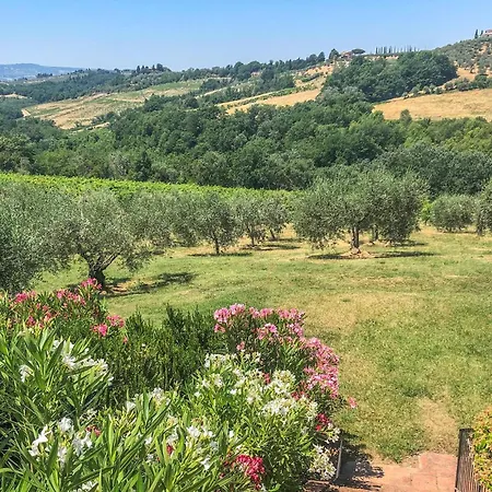 Certinuzza Luia